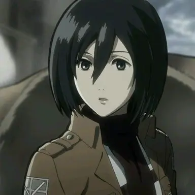 Profile image of 미카사