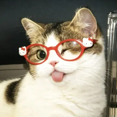 Profile image of 홍챠