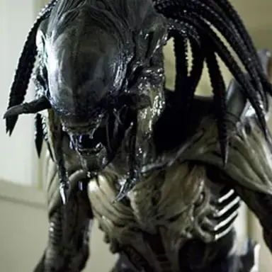 Profile image of 프레데일리언