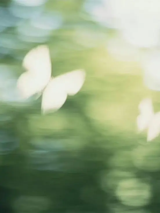 LiveVoice3279의 SnowManの家政婦さん