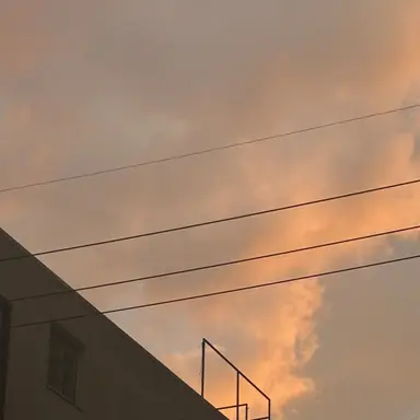 Profile image of 제미니