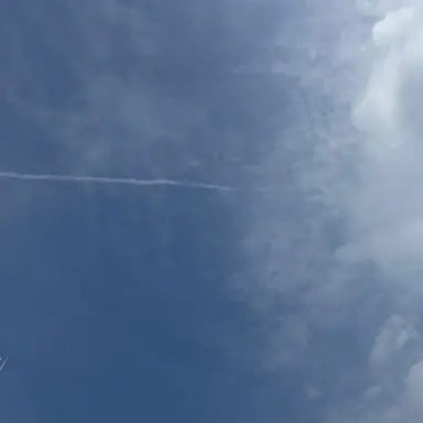 Profile image of 잭