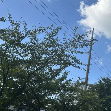 Profile image of 오뉴