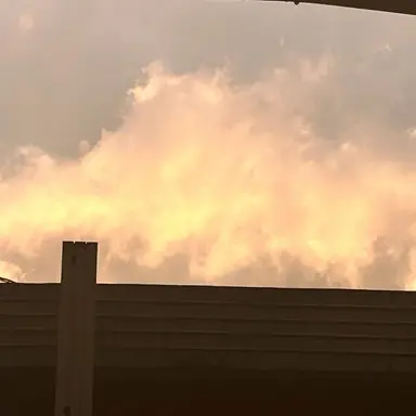 Profile image of 류