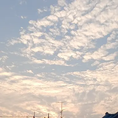 Profile image of 이도운