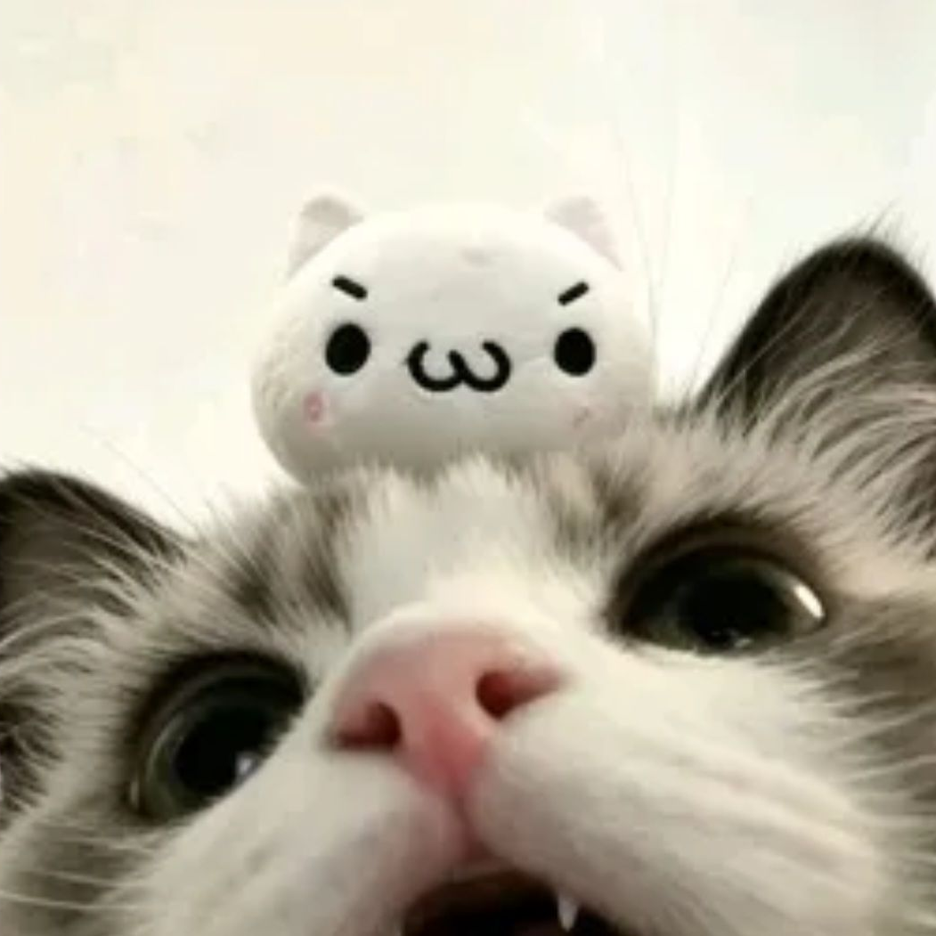 ㄱㅇㅇ 대표 이미지