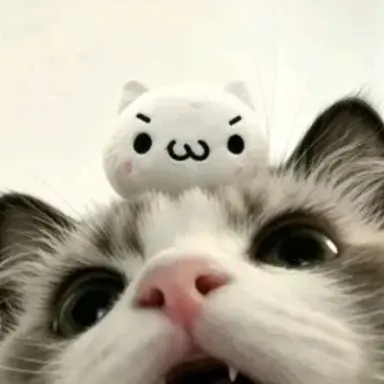 Profile image of ㅇㅈㅎ