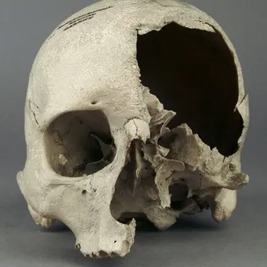 Profile image of 칼