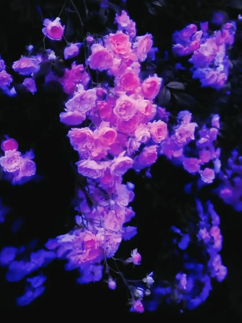 I_L0vE_Y0u의 라벤더의 꽃말 같은 존재