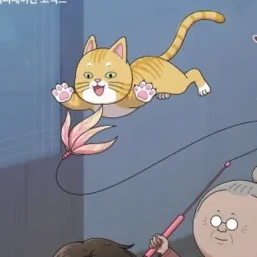 김애용