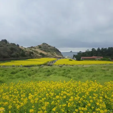 Profile image of 나레이터