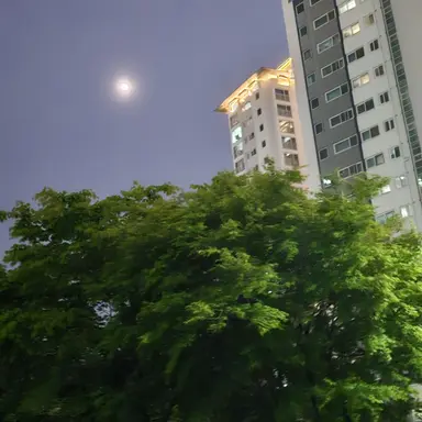 Profile image of 밥풀
