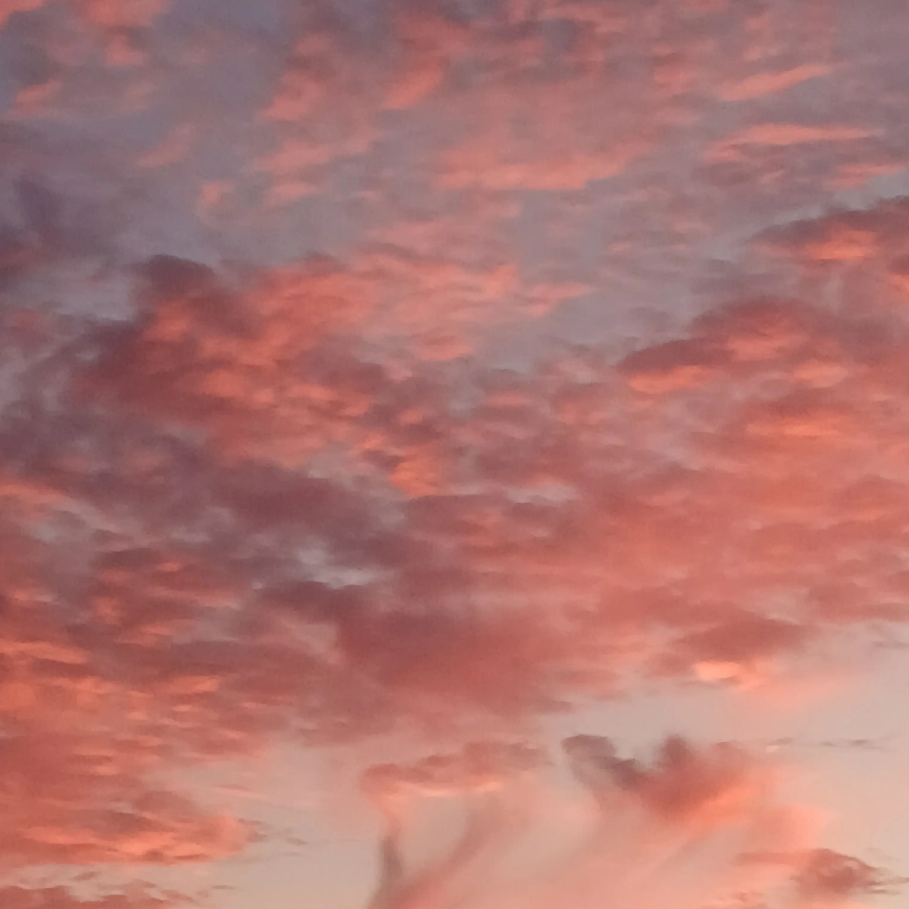 Gnge_qskj의 차별 가족!