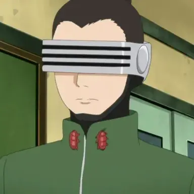 Profile image of Shino Aburame