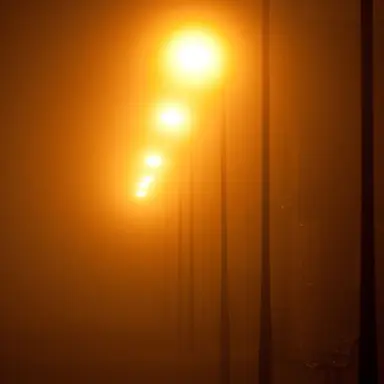 Profile image of 덕개