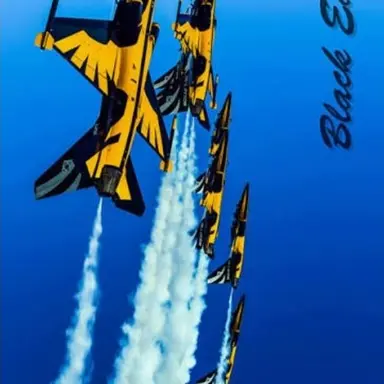 Profile image of 블랙 이글스
