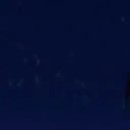 Profile image of Light
