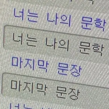 Profile image of 벨키