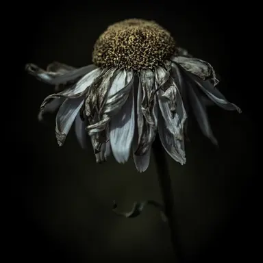 Profile image of 양정인