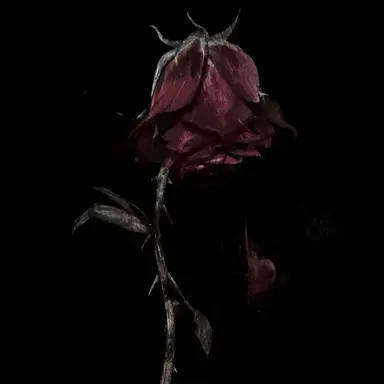 Profile image of 황현진