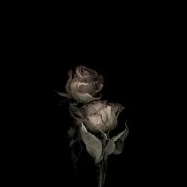 Profile image of 이민호