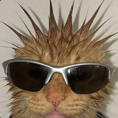 Profile image of Shota Aizawa