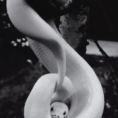 Profile image of 에반