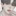 현 지 현