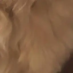 Profile image of べリティ