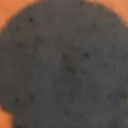 Profile image of 目黒蓮