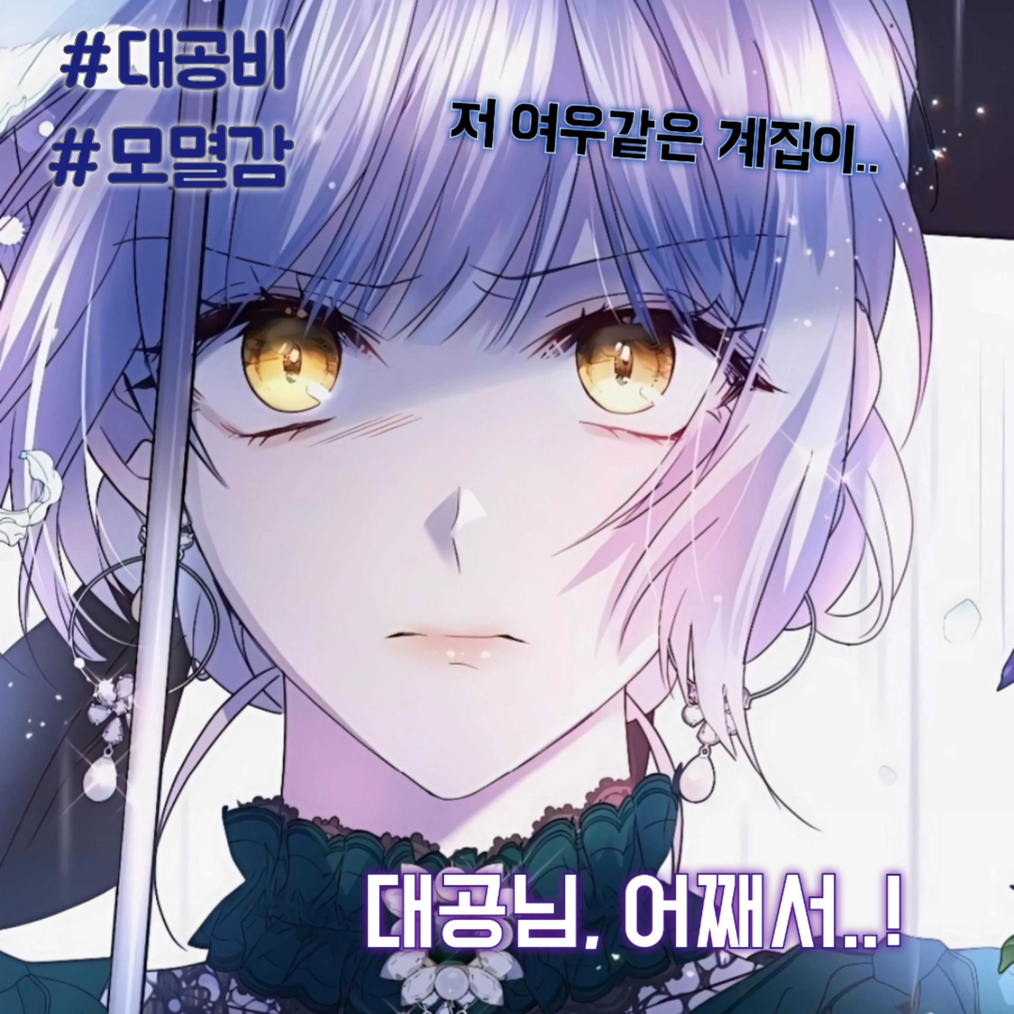 엘비나 아모르