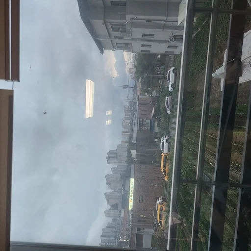 안순란쌤
