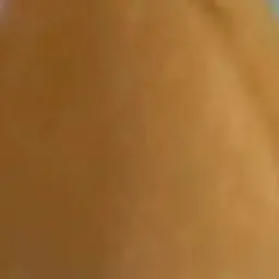 Profile image of ジェル