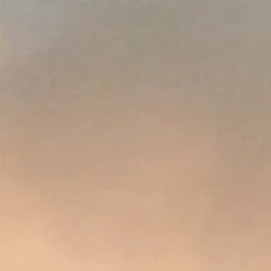 Profile image of 유기사