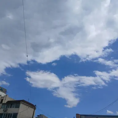 Profile image of 영우