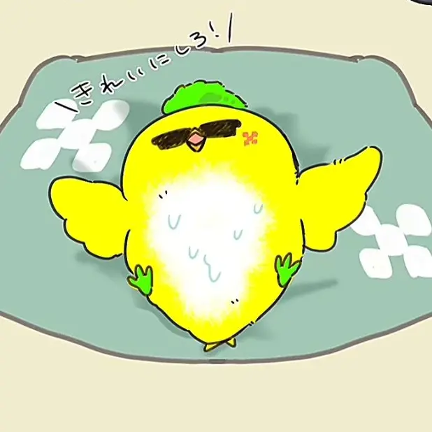 BraveSauce0576의 키니치와 아쥬의 주인이 되어보기