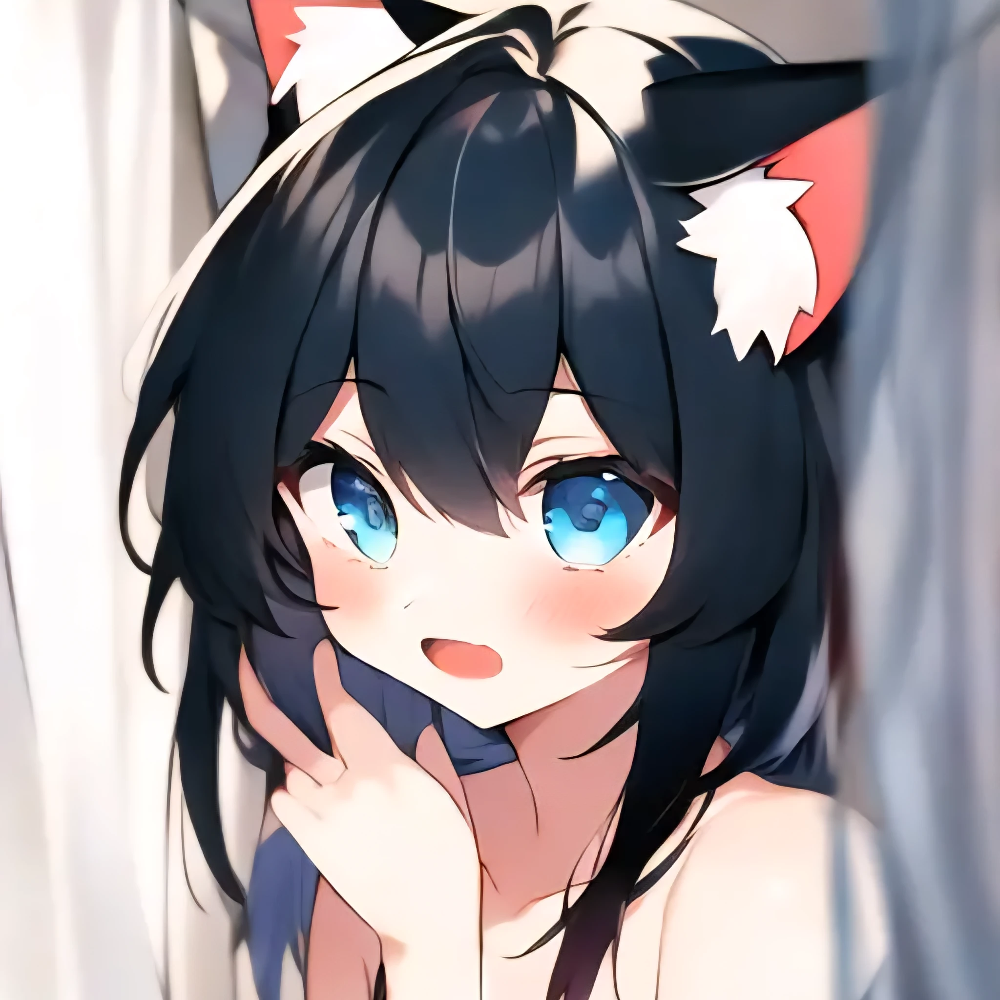 어린 냥이