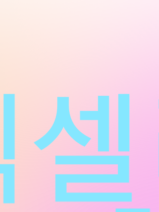 뜰팁  드레곤 라이더 대표 이미지