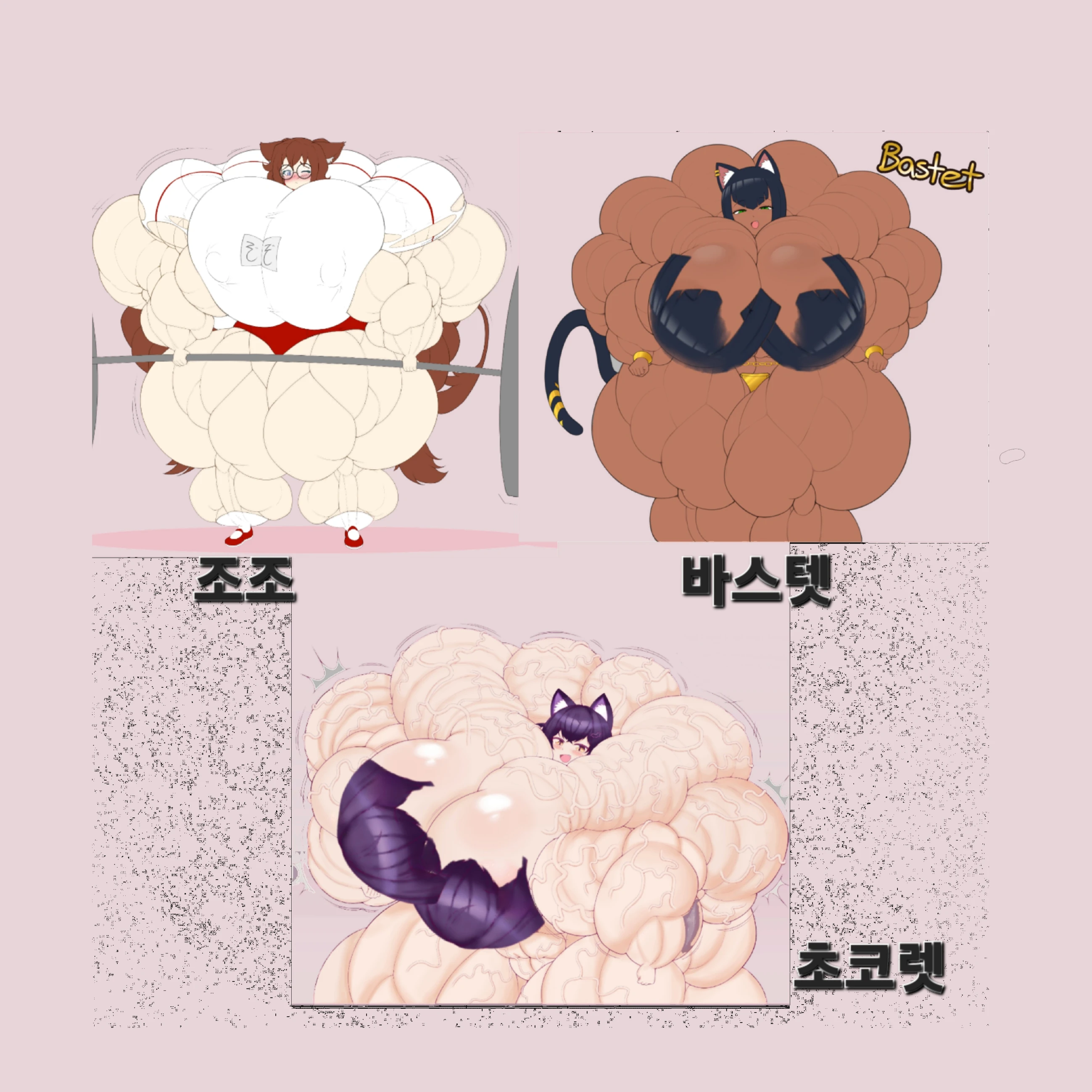 입양된 고양이들