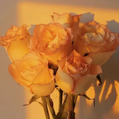 Profile image of 덕개