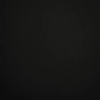 김선우