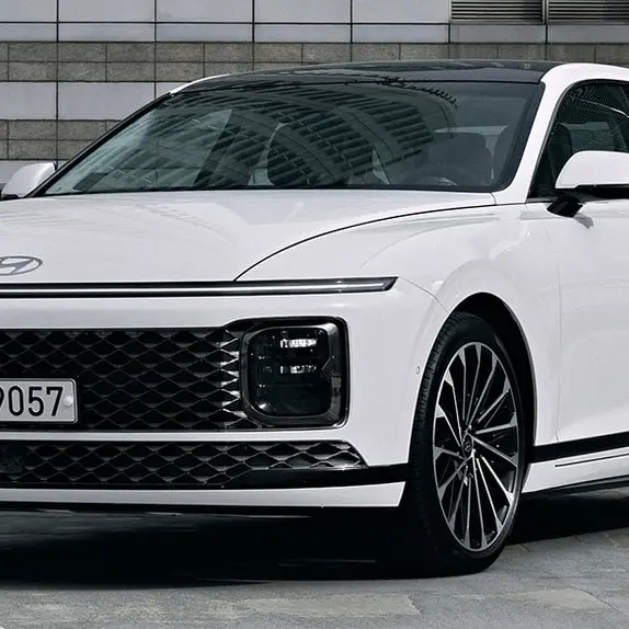 LilacPuma4322의 그랭이