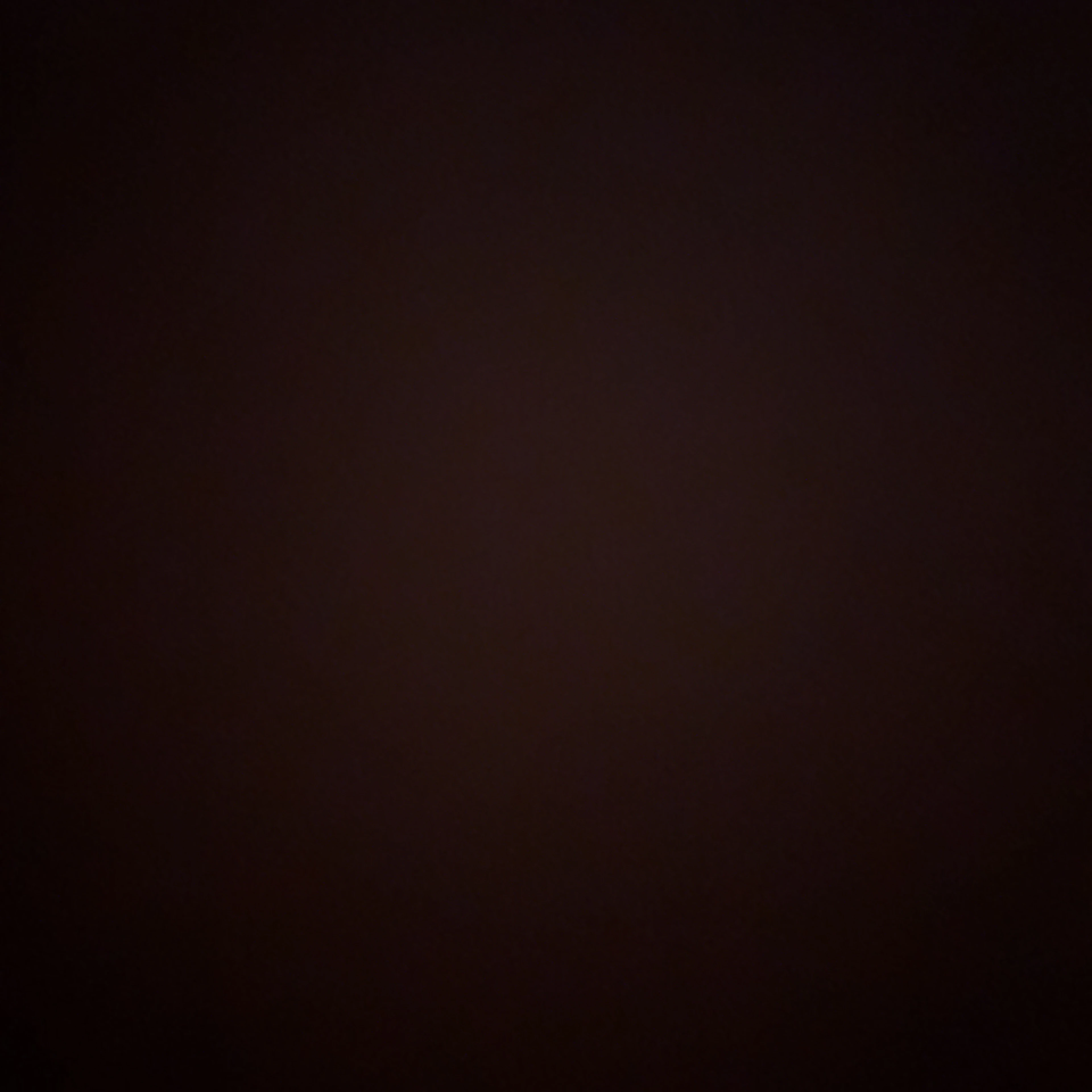 쇼우