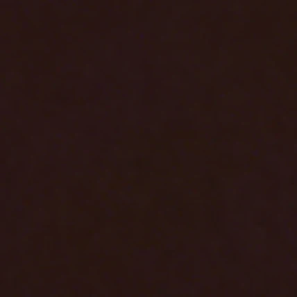 장한음
