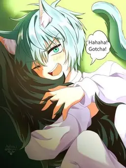 Profile image of Till