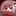 림