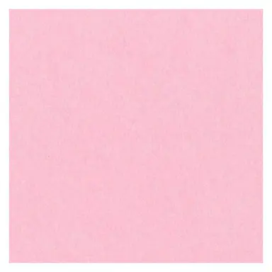 Profile image of 菊