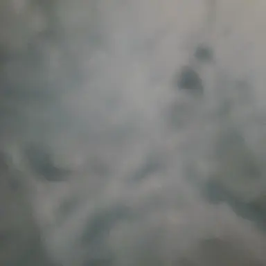 Profile image of 늑대