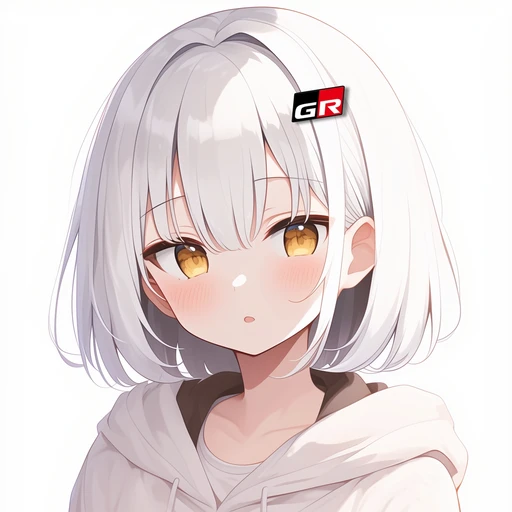 GR 야리스