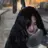 최윤희